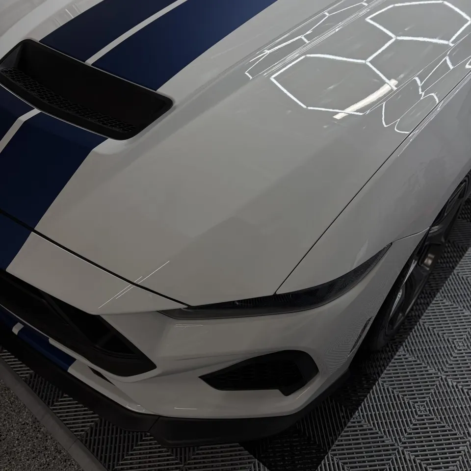 Paint protection film installed on a vehicle